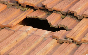 roof repair Godshill