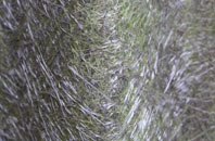 Godshill fibreglass roof work